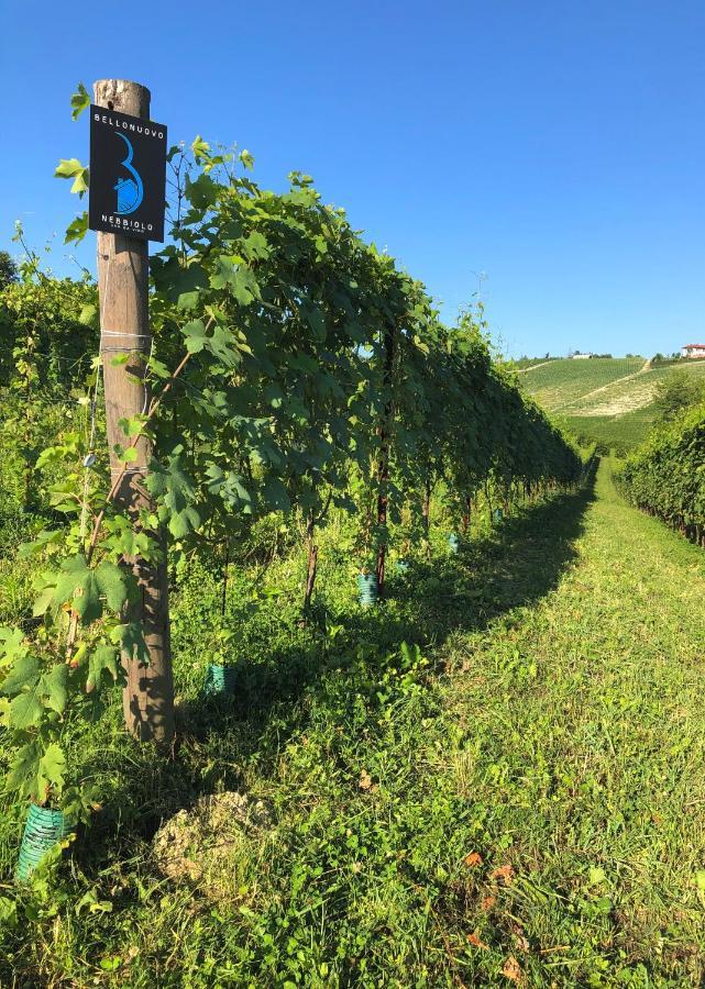 Cascina Bellonuovo Альба Экстерьер фото